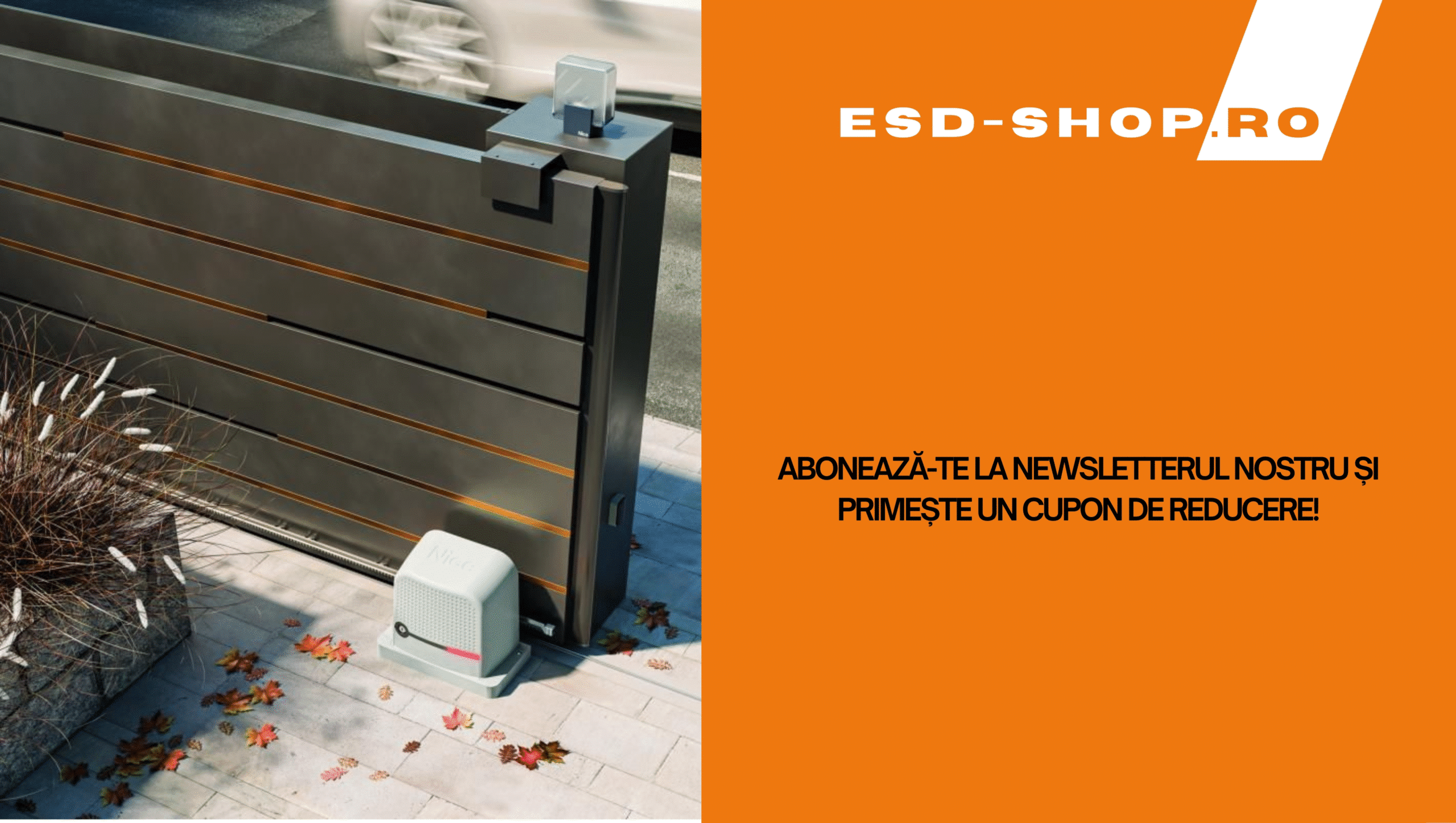 newsletter